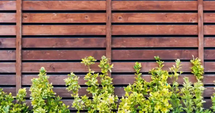 wood fence wood fence